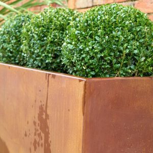 Trough Planter