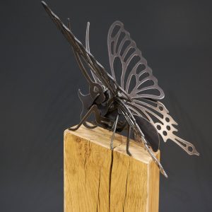 Butterfly on Oak Plinth