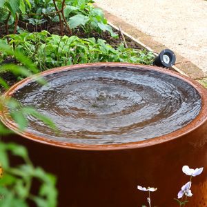 Garden Water Features