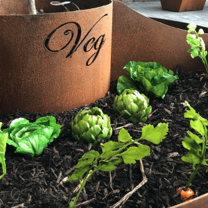 close-up-veg-growing-planter