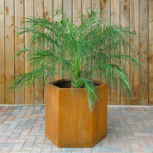 Corten Planters