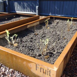 metal-fruit-raised-bed