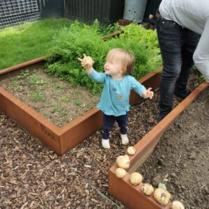 grow-your-own-potatoes