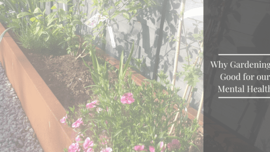 gardening-mental-health