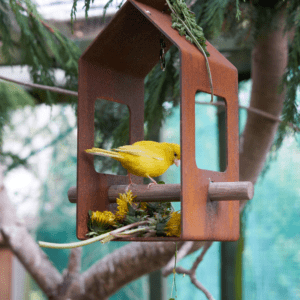 Corten Bird Feeder - Image 2