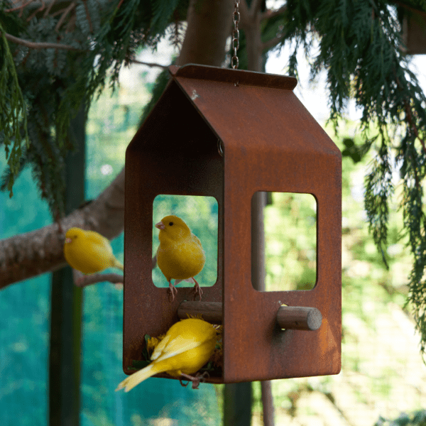 Corten bird feeder