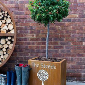 Personalised Rockingham Cube Planter - Image 2