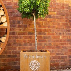 Personalised Rockingham Cube Planter - Image 4