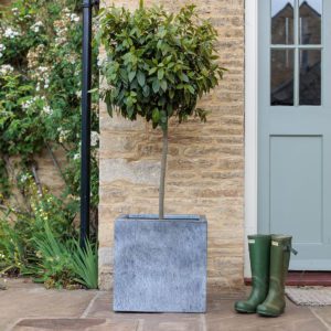 Rockingham Cube Planter - Image 3