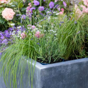 Rockingham Trough Planter - Image 4