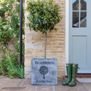 Personalised Galvanised Rockingham Cube Planter - Image 2