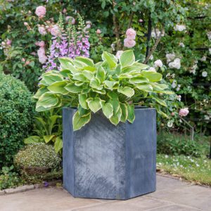 Hallaton Hexagonal Steel Planter - Image 3
