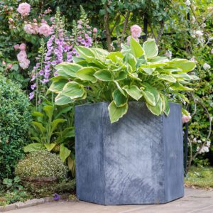 Galvanised Steel Hallaton Hexagonal Planter - Image 2
