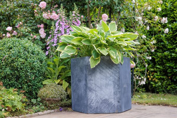 Hallaton Hexagonal Steel Planter